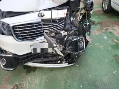 2015 Kia Carnival KNAME81ABFS061664 VIN:KNAME81ABFS061664