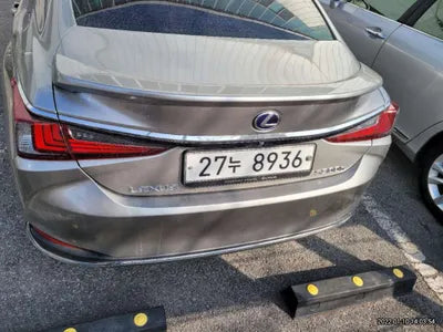 2019 Lexus ES 300 JTHB21B10K2052894 VIN:JTHB21B10K2052894