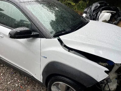 2019 Hyundai Kona KMHK381GFKU059032 VIN:KMHK381GFKU059032