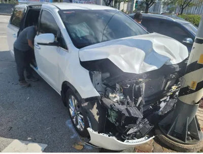 2019 Kia Carnival KNAMC81ABKS555934 VIN:KNAMC81ABKS555934