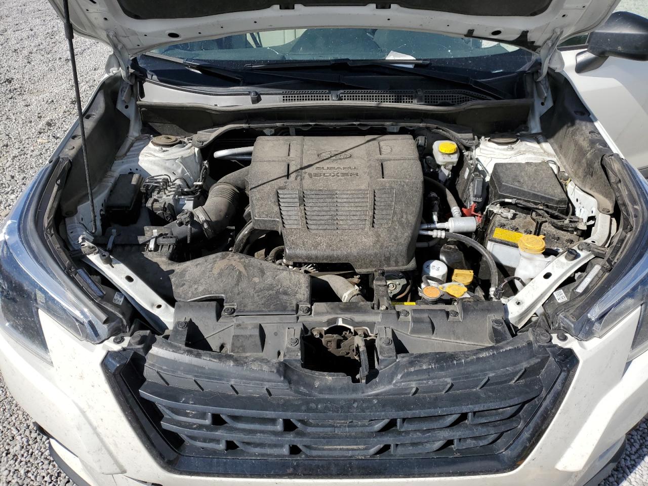 2024 SUBARU FORESTER  VIN:JF2SKABC2RH462656