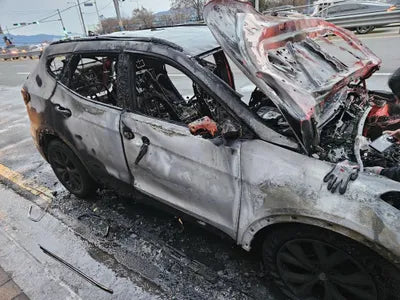 2016 Hyundai Santa FE KMHSW81UBHU739194 VIN:KMHSW81UBHU739194