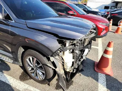 2019 Hyundai Santa FE KMHS381BBKU087945 VIN:KMHS381BBKU087945