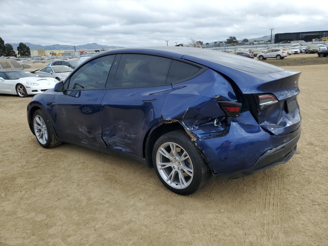 2023 TESLA MODEL Y  VIN:7SAYGDEEXPF900882