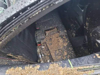 2020 BMW M2 WBS2U7106L7E21913 VIN:WBS2U7106L7E21913