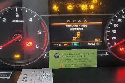 2021 Kia Sorento KNARF81BGMA060485 VIN:KNARF81BGMA060485