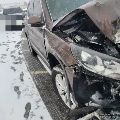 2015 Volkswagen Tiguan VIN: