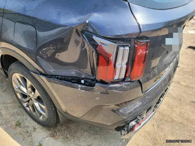 2020 Kia Sorento KNARL81BGMA010120 VIN:KNARL81BGMA010120