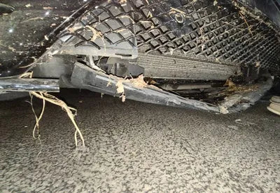 2020 Mercedes-Benz S 350 W1KUF2BB2LA558821 VIN:W1KUF2BB2LA558821