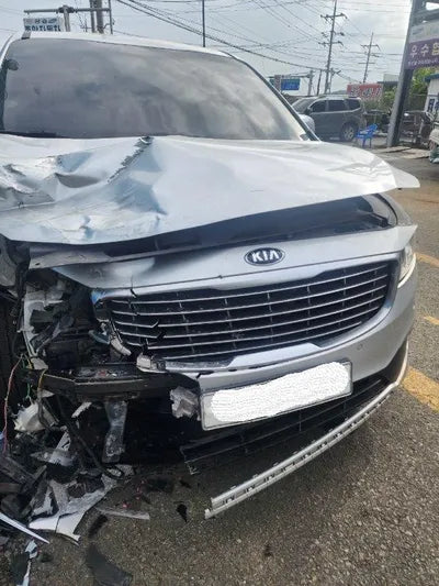 2016 Kia Carnival 487KMKNAMB81ABGS1 VIN:487KMKNAMB81ABGS1