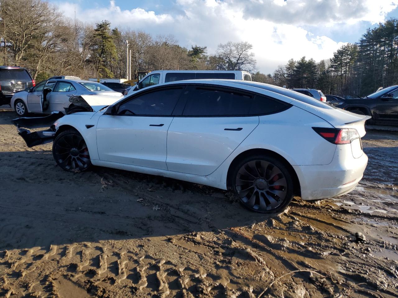 2023 TESLA MODEL 3  VIN:5YJ3E1EC8PF502757