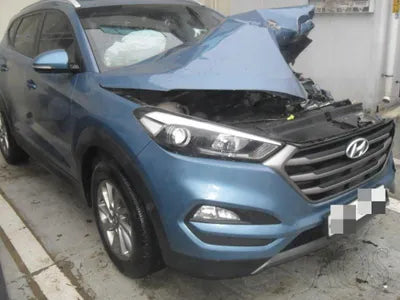 2016 Hyundai Tucson KMHJ3815GGU156350 VIN:KMHJ3815GGU156350