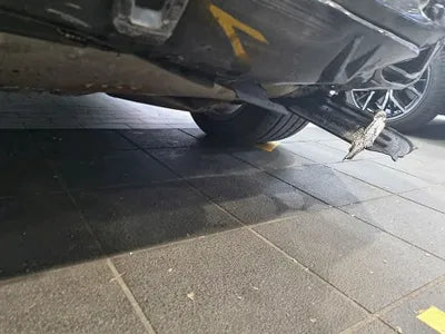 2020 BMW 530 WBACV6105L9C18709 VIN:WBACV6105L9C18709