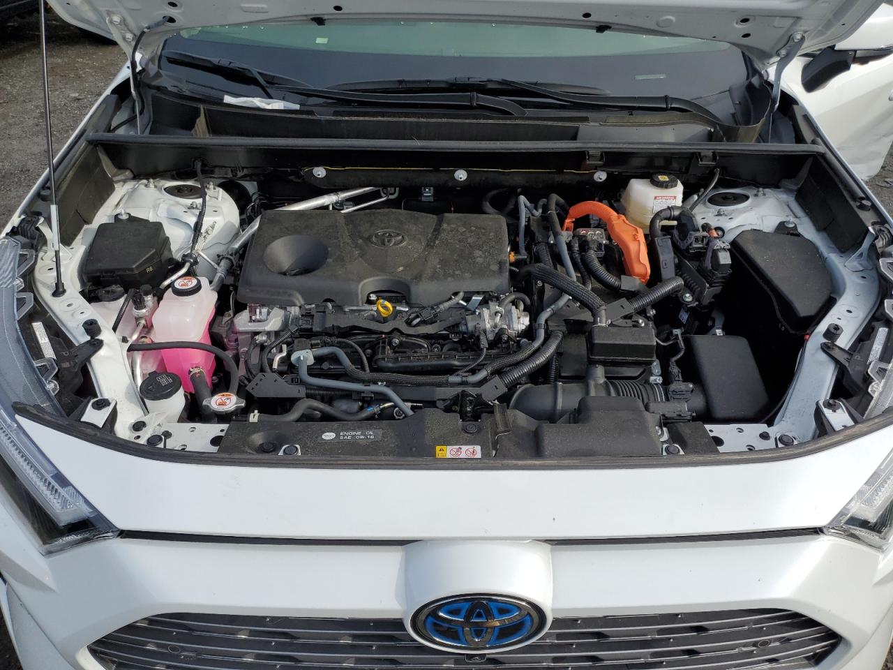 2023 TOYOTA RAV4 LIMITED VIN:JTMD6RFV8PD096664