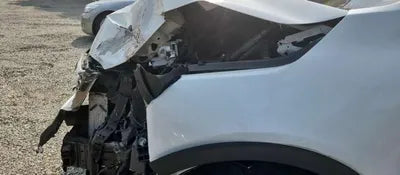 2019 Kia Sorento KNAPS81BBLA564800 VIN:KNAPS81BBLA564800
