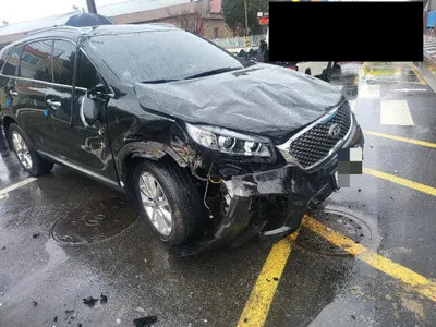 2017 Kia Sorento KNAPS81ABHA319110 VIN:KNAPS81ABHA319110
