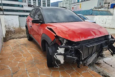 2018 Hyundai Kona KMHK5816GJU259493 VIN:KMHK5816GJU259493