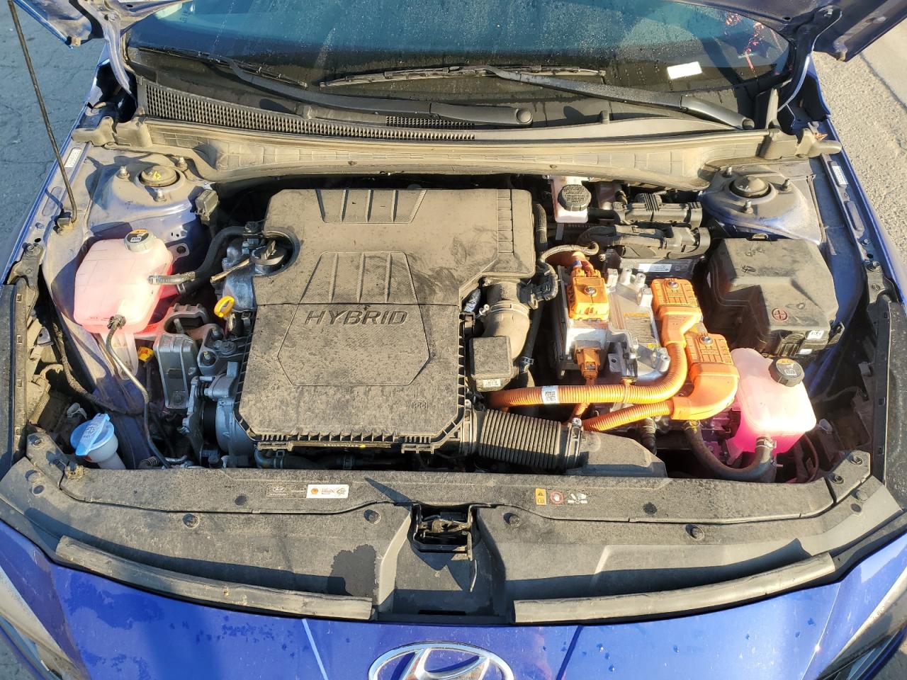 2023 HYUNDAI ELANTRA LIMITED VIN:KMHLN4AJ8PU077677