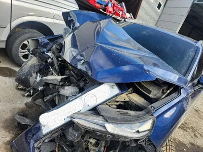 2019 Hyundai Santa FE KMHS381CDKU076065 VIN:KMHS381CDKU076065