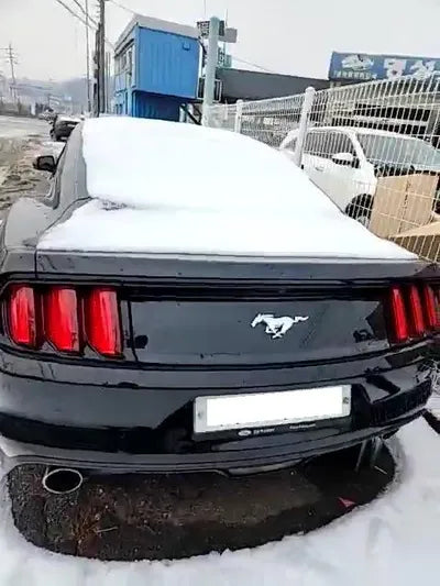 2017 Ford Mustang 1FA6P8TH4H5319413 VIN:1FA6P8TH4H5319413