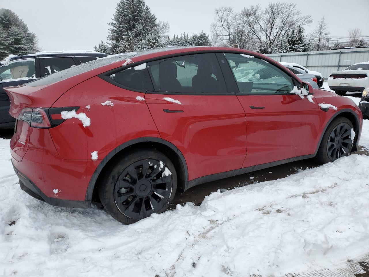 2023 TESLA MODEL Y  VIN:7SAYGDEE1PA128933