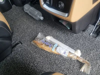 2021 Kia Carnival KNANE81BBMS020663 VIN:KNANE81BBMS020663