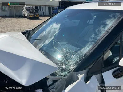 2022 Kia Carnival KNANE81BBPS203634 VIN:KNANE81BBPS203634