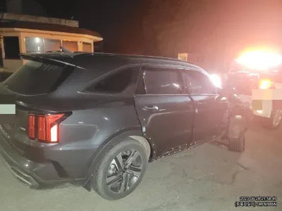 2021 Kia Sorento KNARL81GBMA047281 VIN:KNARL81GBMA047281