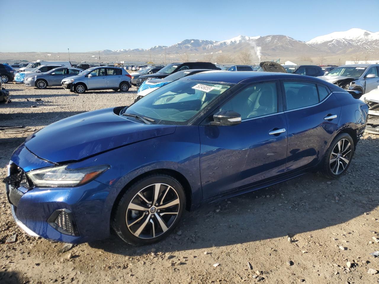 2022 NISSAN MAXIMA SV VIN:1N4AA6CV3NC503013