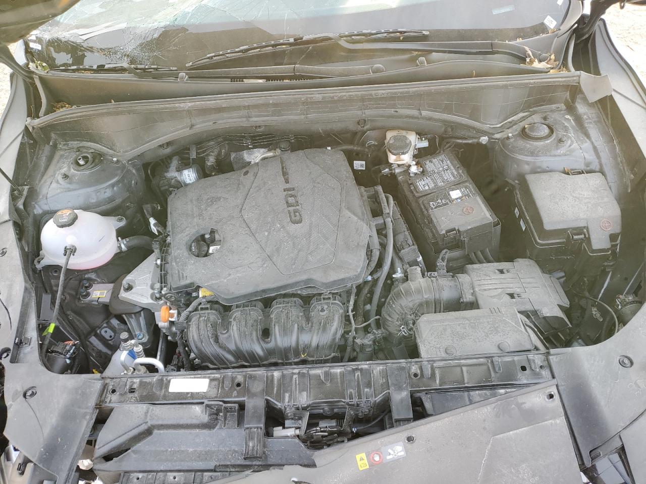 2024 KIA SORENTO S VIN:5XYRLDJCXRG284002