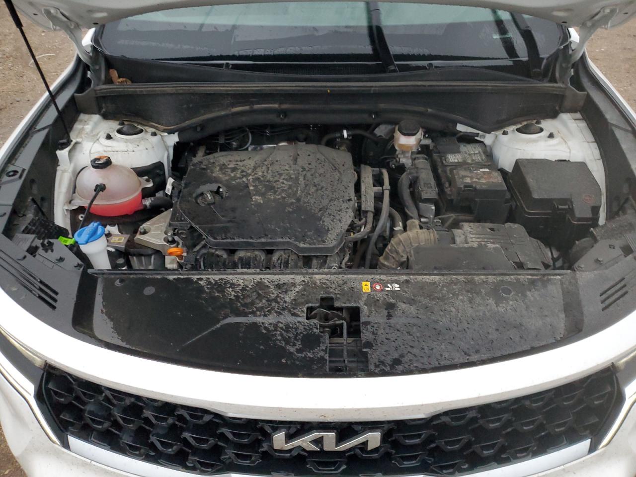2022 KIA SORENTO LX VIN:5XYRGDLC5NG162255