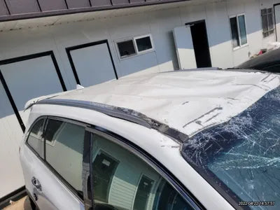 2019 Kia Sorento KNAPH81BBLA564657 VIN:KNAPH81BBLA564657