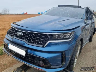 2021 Kia Sorento KNARK81BGMA015419 VIN:KNARK81BGMA015419
