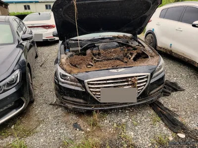 2015 acupuncture nessis 3.3 VIN: