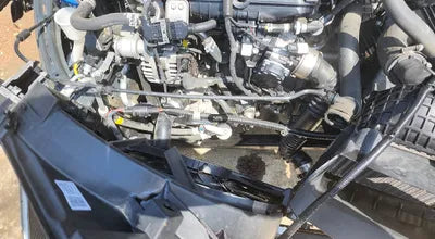 2021 Kia K5 KNAG6412BMA142455 VIN:KNAG6412BMA142455