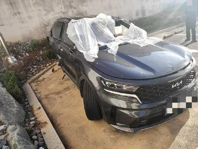 2023 Kia Sorento KNARL81GBPA179984 VIN:KNARL81GBPA179984