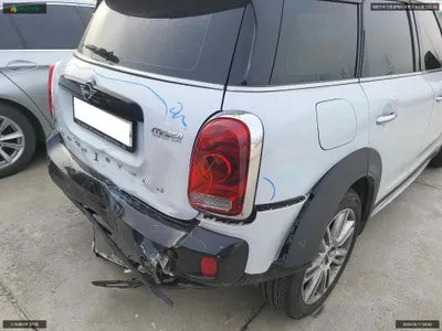 2020 MINI Countryman WMWYX3106L3L99365 VIN:WMWYX3106L3L99365