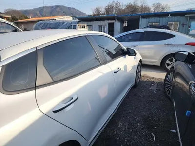 2017 Kia K5 KNAGT41EBHA009834 VIN:KNAGT41EBHA009834