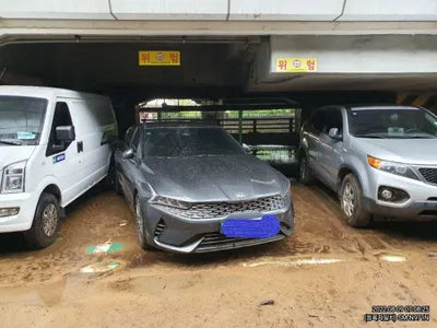 2021 Kia K5 KNAG341JBMA015213 VIN:KNAG341JBMA015213