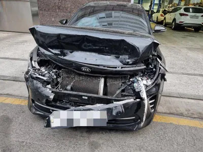 2015 Kia K5 KNAGU415GGA015165 VIN:KNAGU415GGA015165