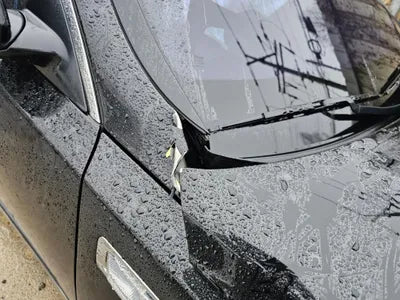 2019 Kia K5 KNAGS416BLA366382 VIN:KNAGS416BLA366382