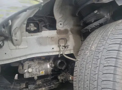 2019 Hyundai Kona KMHK281GFKU009146 VIN:KMHK281GFKU009146