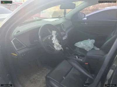 2018 Hyundai Tucson KMHJ2815GJU796730 VIN:KMHJ2815GJU796730