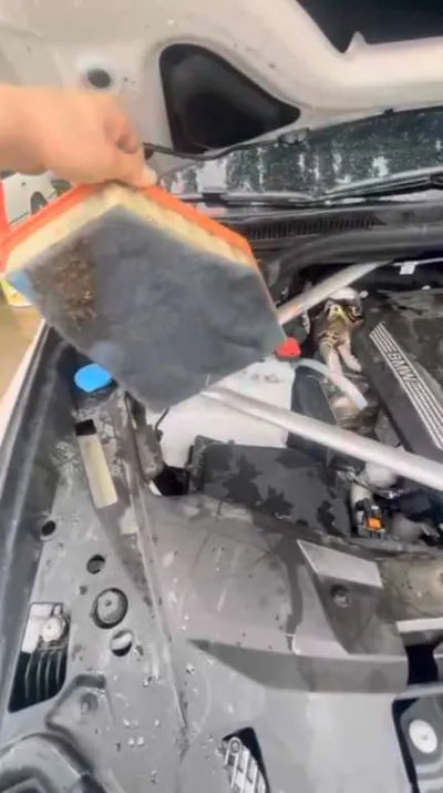 2021 BMW 530 WBAJU8104M9F05935 VIN:WBAJU8104M9F05935