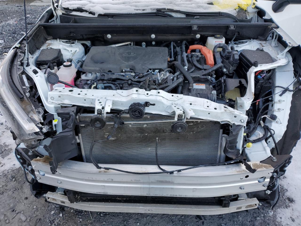 2024 TOYOTA RAV4 LE VIN:4T3LWRFV0RU119002