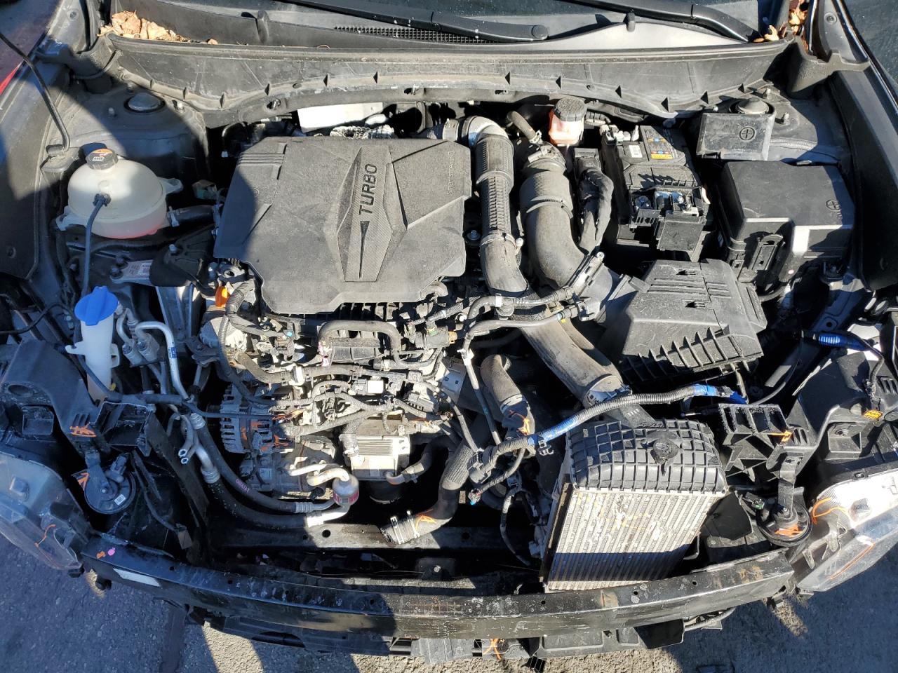 2022 HYUNDAI SANTA CRUZ SEL PREMIUM VIN:5NTJDDAFXNH019184