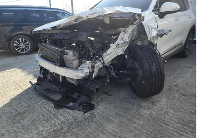 2021 Hyundai Santa FE KMHS381HGMU310393 VIN:KMHS381HGMU310393