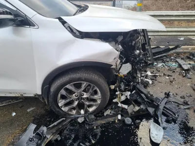2019 Kia Sorento KNAPH81ABLA604164 VIN:KNAPH81ABLA604164