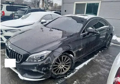 2017 Mercedes-Benz CLS 250 WDDLJ9HB3HA204310 VIN:WDDLJ9HB3HA204310