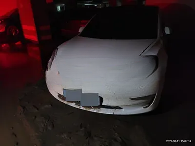 2020 Tesla Model 3 NONE VIN: